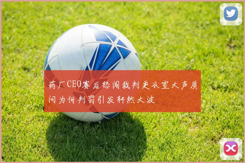 药厂CEO赛后怒闯裁判更衣室大声质问为何判罚引发轩然大波